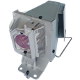ACER X113 projector lamps