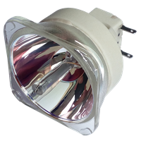 CHRISTIE LW601i-D Lamp without housing