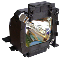 EPSON V11H066020 Lamp with housing