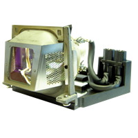 HP L2139A Lamp with housing