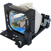 LIESEGANG DV 4102 Lamp with housing