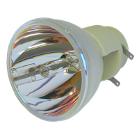 OPTOMA EW610ST-EDU Lamp without housing