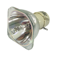 PHILIPS-UHP 225/170W 0.9 E20.9 Lamp without housing