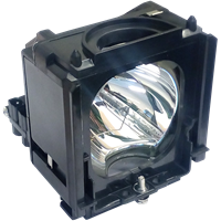SAMSUNG PT-50DL24 Lamp with housing