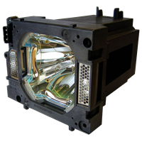 SANYO POA-LMP108 (610 334 2788) Lamp with housing