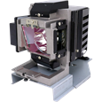 VIEWSONIC RLC-106 lamps
